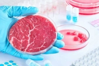 علمای سعودی حلال بودن «گوشت مصنوعی» را تأیید کردند