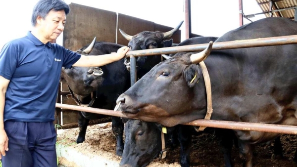 Japanese companies see opportunity in boosting exports of halal-certified food products